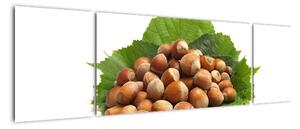 Lískové ořechy, obraz (170x50cm)