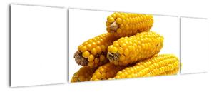 Kukuřice, obraz (170x50cm)