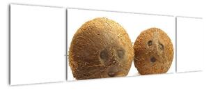 Kokosový ořech, obraz (170x50cm)