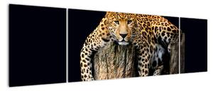 Leopard, obraz (170x50cm)