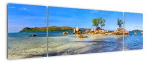 Panorama exotiky, obraz (170x50cm)