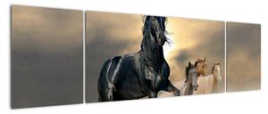 Obraz koně (170x50cm)