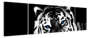 Obraz tygra s mládětem (170x50cm)