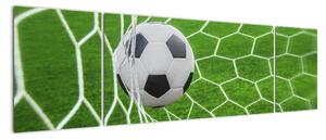 Fotbalový míč v síti - obraz (170x50cm)