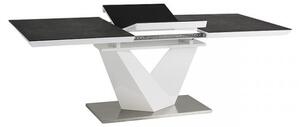 Jídelní stůl Alaras II 120 × 80 cm, šedá / bílá