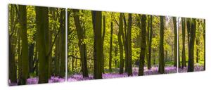 Obraz lesa (170x50cm)