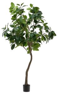 OnaDnes -20% Umělá květina Kave Home Ficus 210 cm