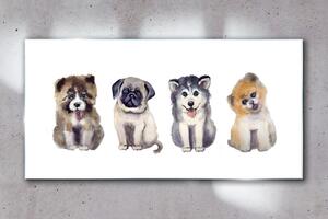 Obraz na skle Obraz na skle Abstrakce zvířat psů