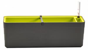 Samozavlažovací truhlík Berberis 60x19,5x19,7 cm, antracit / zelený