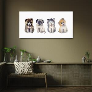 Obraz na skle Obraz na skle Abstrakce zvířat psů