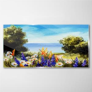 Obraz na skle Obraz na skle Mořský strom květiny obloha