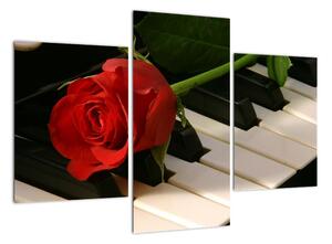 Obraz růže na klavíru (90x60cm)