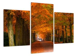 Obraz - cesty lesem na podzim (90x60cm)