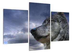 Obraz vlka (90x60cm)