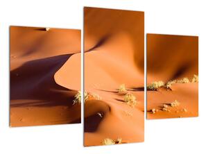 Obraz pouštích dun (90x60cm)