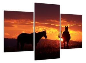 Obraz - koně při západu slunce (90x60cm)