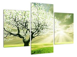 Jarní strom - moderní obraz (90x60cm)