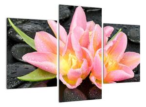 Obraz květů (90x60cm)