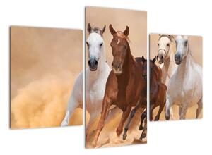 Obrazy běžících koní (90x60cm)