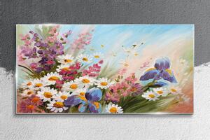 Obraz na skle Obraz na skle Malování květiny rostlina