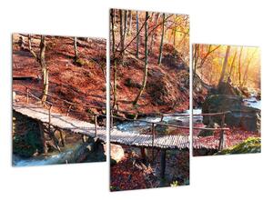 Obraz mostu - podzimní cesta lesem (90x60cm)