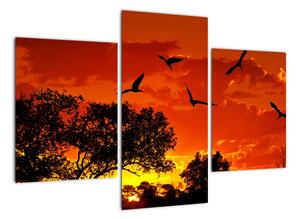 Obraz zapadajícího slunce s ptáky (90x60cm)