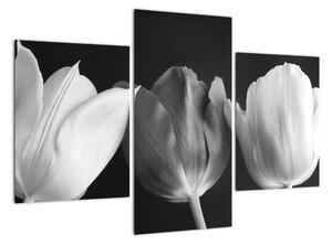 Černobílý obraz - tři tulipány (90x60cm)