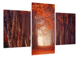 Podzimní les - obraz (90x60cm)