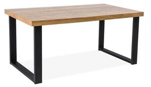 Jídelní stůl Umberto 120 x 80 cm - deska dýha