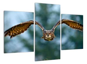 Obraz letící sovy (90x60cm)