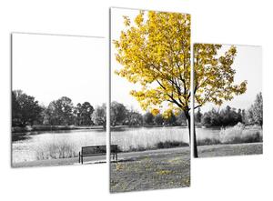 Obraz žlutého stromu v přírodě (90x60cm)