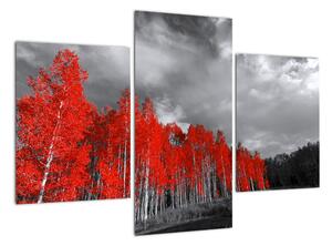 Červený les - moderní obraz (90x60cm)