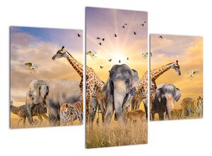 Obraz - safari (90x60cm)