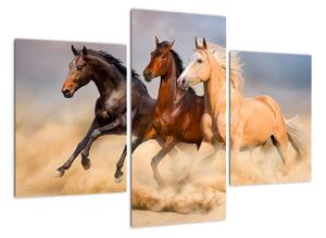Moderní obraz koní (90x60cm)
