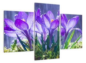 Obraz květů při dešti (90x60cm)