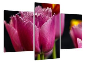 Tulipány - obrazy (90x60cm)