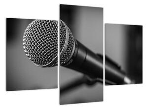 Obraz mikrofonu (90x60cm)
