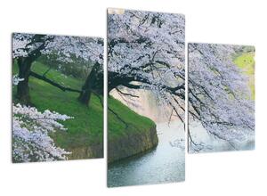Obraz kvetoucích stromů (90x60cm)