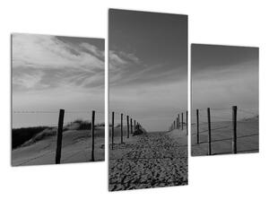 Obraz - cesta v písku (90x60cm)