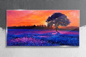 Obraz na skle Obraz na skle Sunset strom květiny