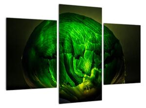 Zelená moderní abstrakce (90x60cm)