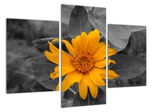 Obraz oranžového květu (90x60cm)