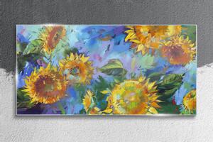 Obraz na skle Obraz na skle Květiny slunečnic