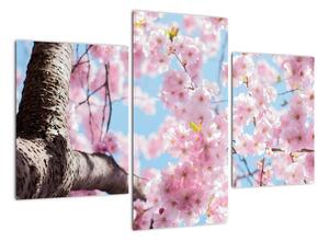 Kvetoucí strom - obraz (90x60cm)