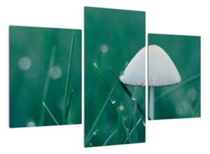 Obraz houby v trávě (90x60cm)
