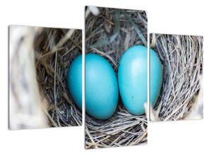 Obraz modrých vajíček v hnízdě (90x60cm)