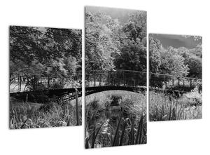 Černobílý most - obraz (90x60cm)