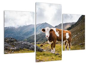 Obraz krávy na louce (90x60cm)