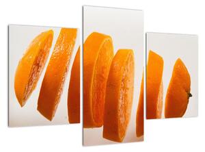 Moderní obraz - dílky pomeranče (90x60cm)