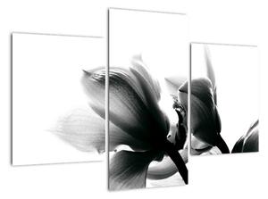Obraz černobílých květů (90x60cm)